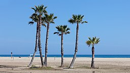 Praia_de_Coma-ruga._El_Vendrell._Tarragona-28