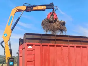 recogida_poda_con_pulpo_tarragona