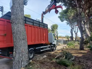 recogida_poda_con_pulpo_tarragona